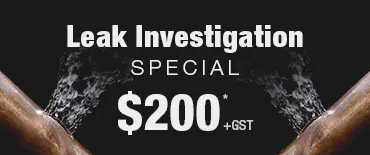 Leak Investigation Discount Wattle Cove