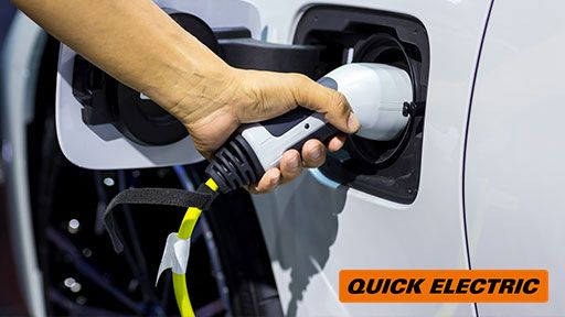 Fast, One Time Service In Wattle Cove